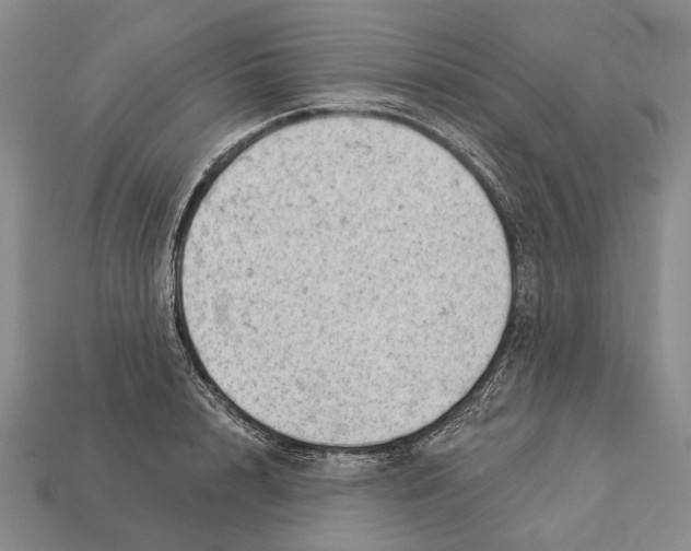 X0000112980848200909241218