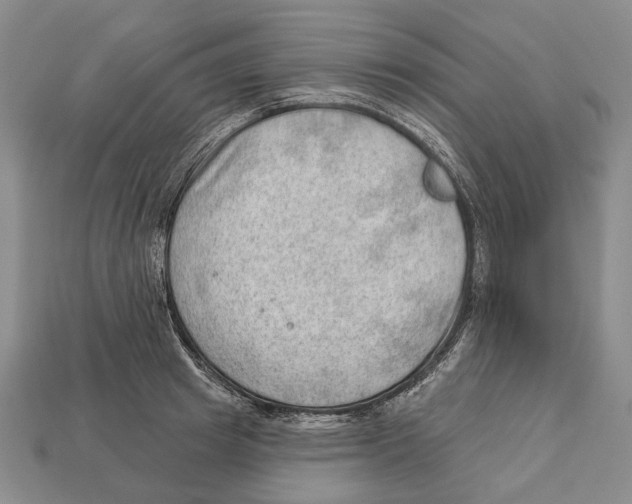 X0000112980849200909241218
