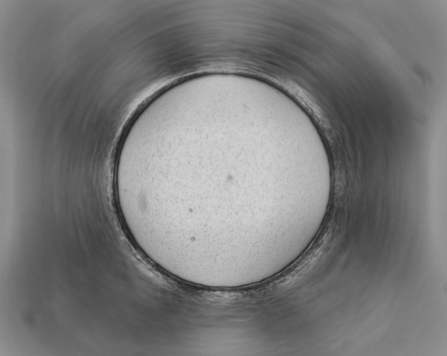 X0000112980854200909241218