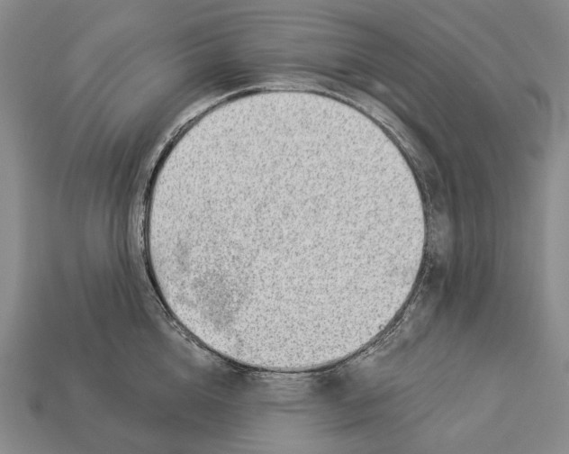 X0000112980856200909241218