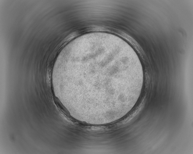 X0000112980857200909241219