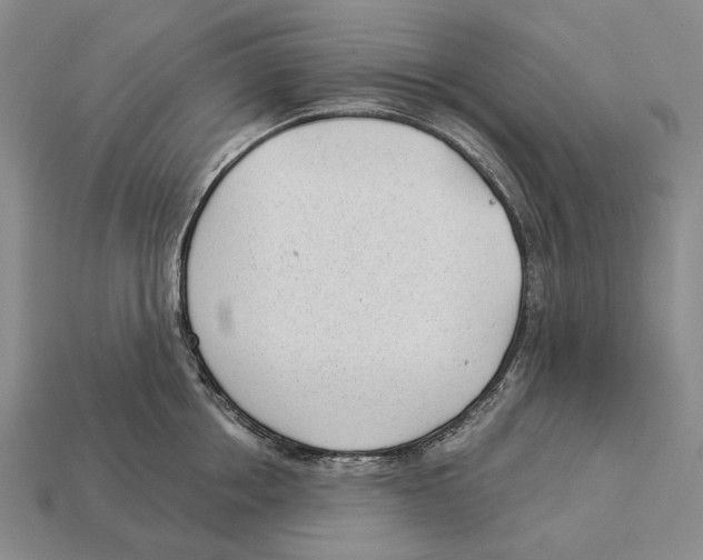 X0000112980858200909241219