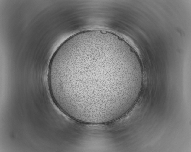 X0000112980863200909241219