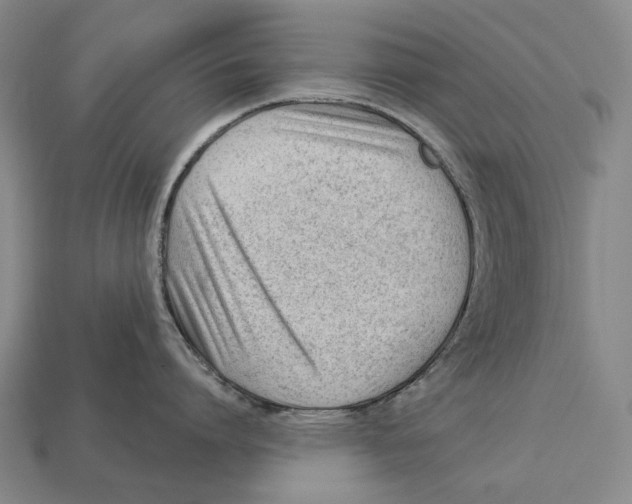 X0000112980864200909241219