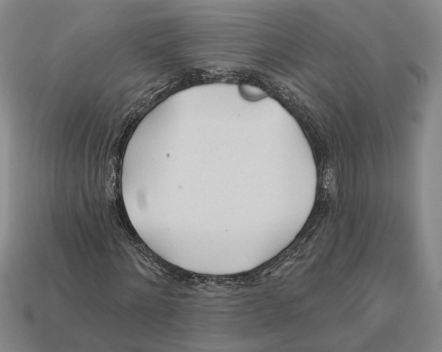 X0000112980868200909241218