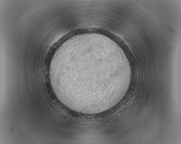 X0000112980871200909241218