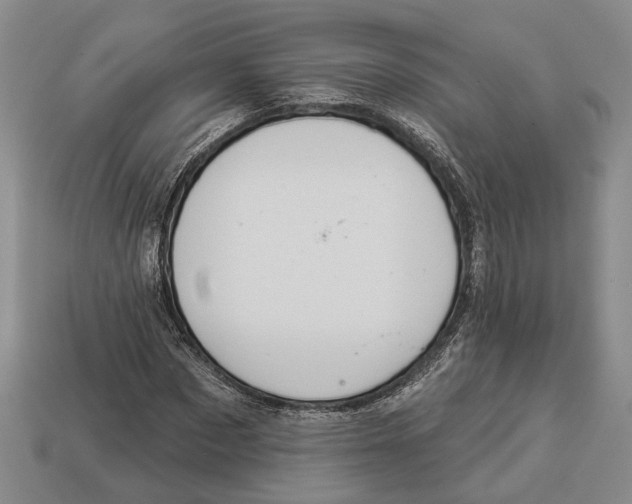X0000112980873200909241218