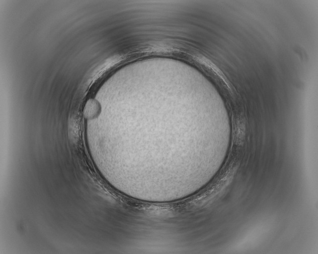 X0000112980874200909241218