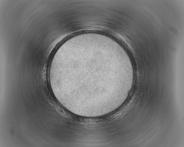 X0000112980875200909241218