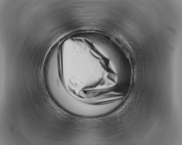 X0000112980876200909241218