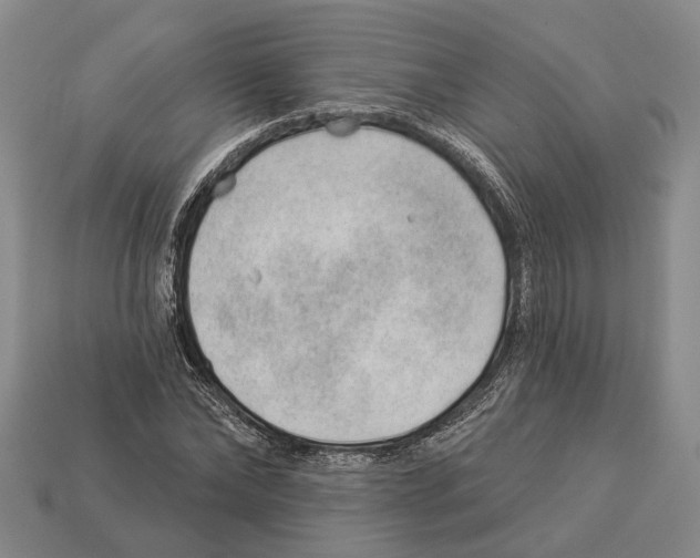 X0000112980878200909241218