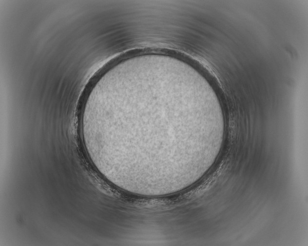 X0000112980879200909241218