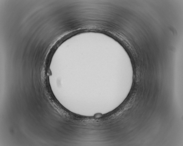 X0000112980880200909241218