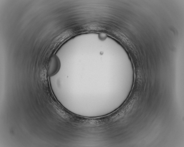 X0000112980881200909241218