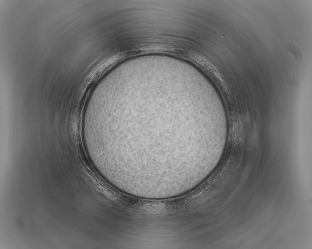 X0000112980882200909241218
