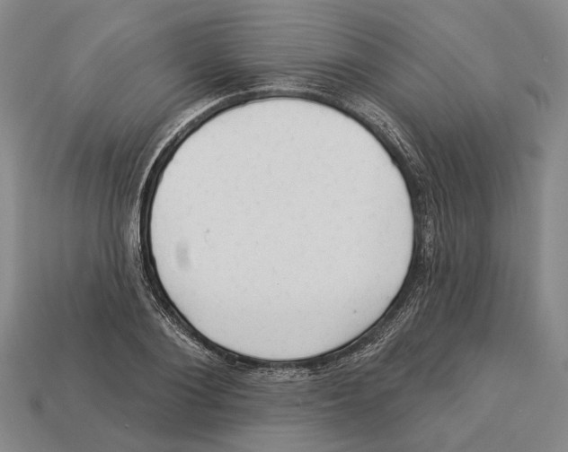 X0000112980884200909241218