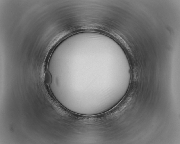 X0000112980885200909241218