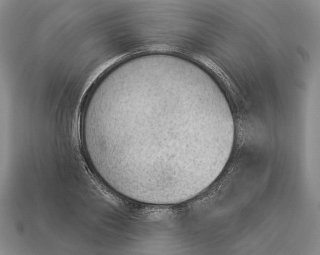 X0000112980886200909241218
