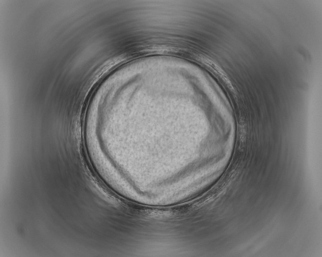 X0000112980890200909241218