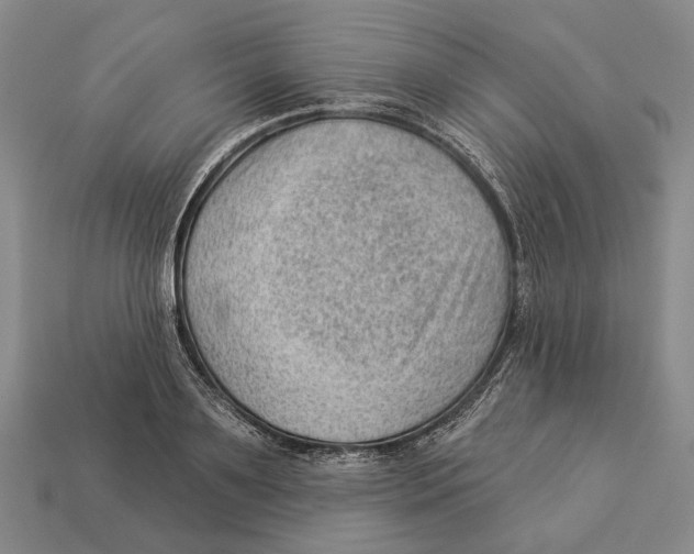 X0000112980891200909241218