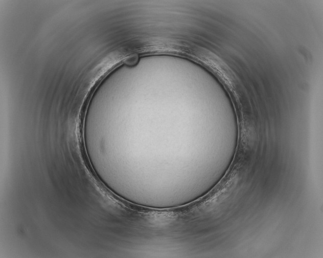 X0000112980893200909241218