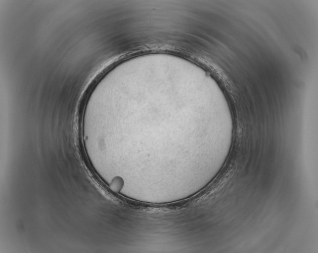 X0000112980894200909241218