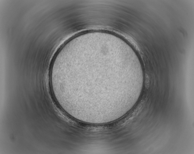X0000112980895200909241218