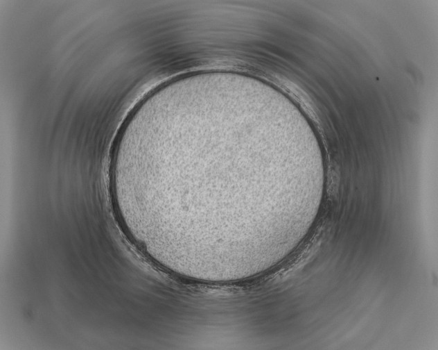 X0000112980899200909241218