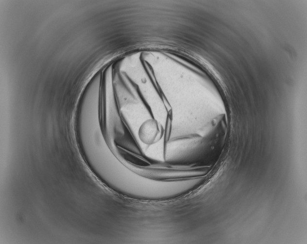 X0000112980901200909241218