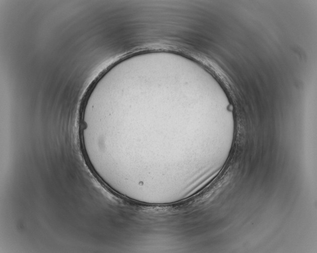 X0000112980902200909241218