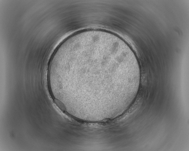 X0000112980903200909241217