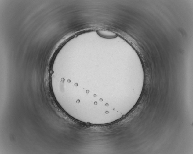X0000112980904200909241217