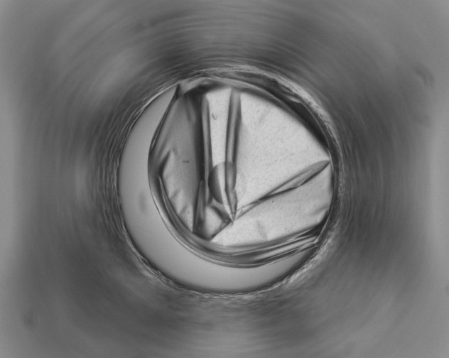 X0000112980905200909241217