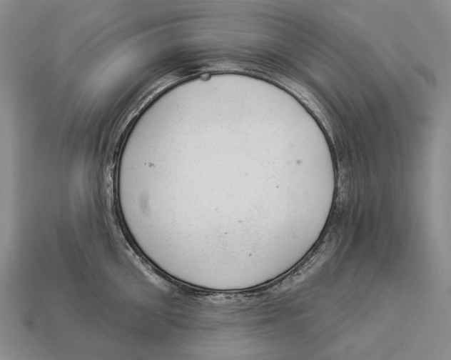 X0000112980906200909241217