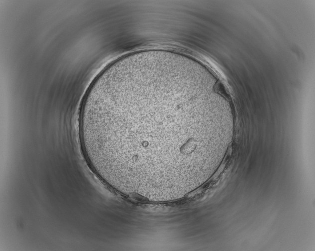 X0000112980907200909241217