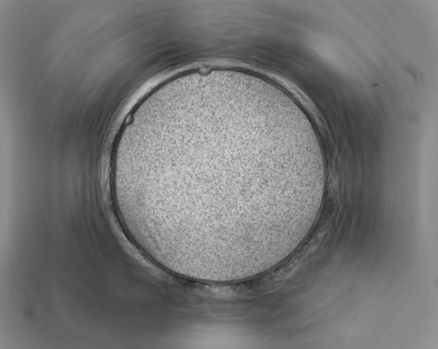 X0000112980911200909241217
