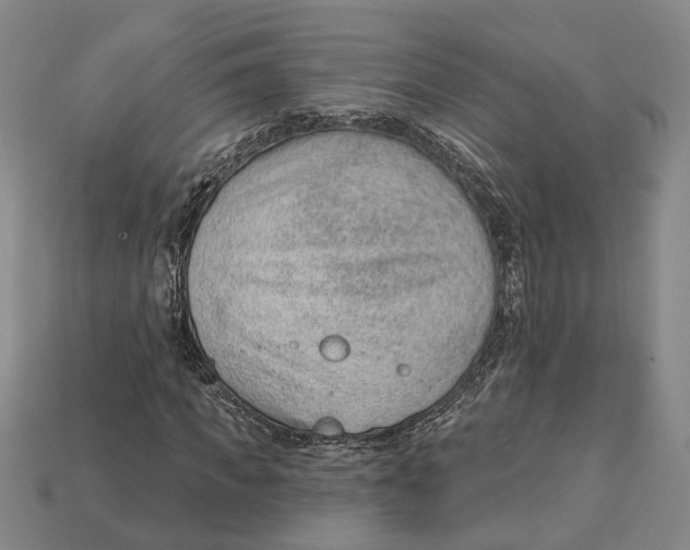 X0000112980917200909241217