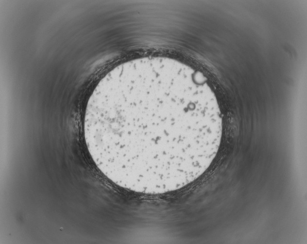 X0000112980918200909241217