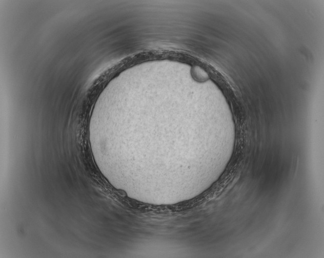 X0000112980919200909241217
