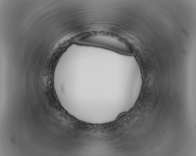 X0000112980920200909241217