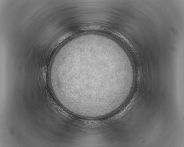 X0000112980921200909241217