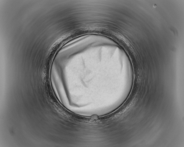 X0000112980922200909241217