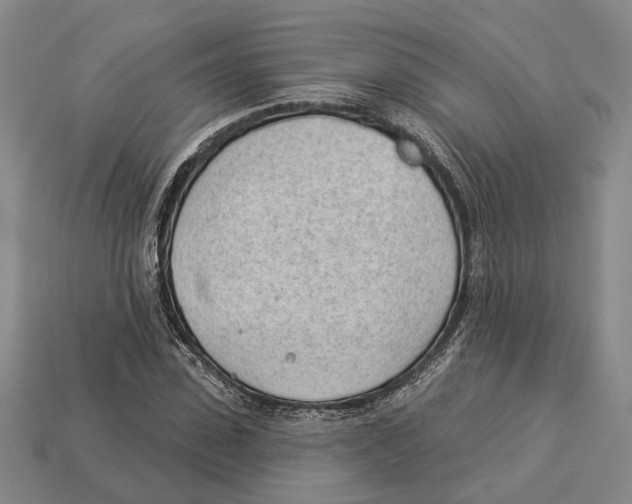 X0000112980923200909241217