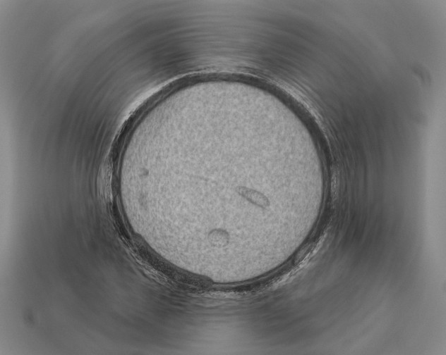 X0000112980925200909241217