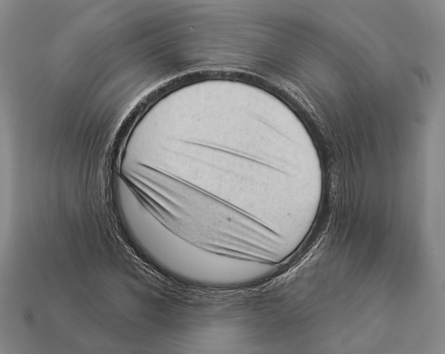 X0000112980926200909241217