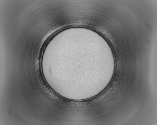 X0000112980928200909241217