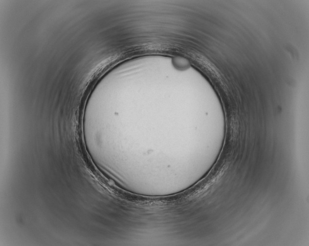 X0000112980930200909241217