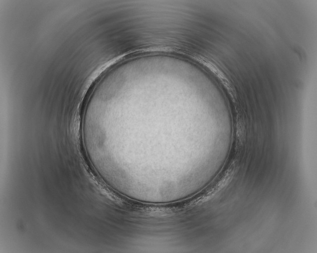 X0000112980933200909241217