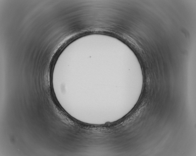 X0000112980934200909241217