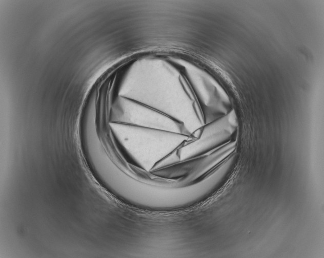 X0000112980936200909241217